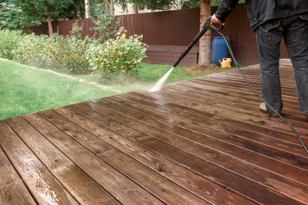 Best Roof Cleaning and Mildew Removal in Panorama Village, TX